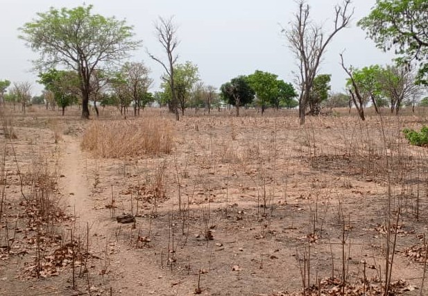 Terre agricole de 25ha à Kinnoukpanou