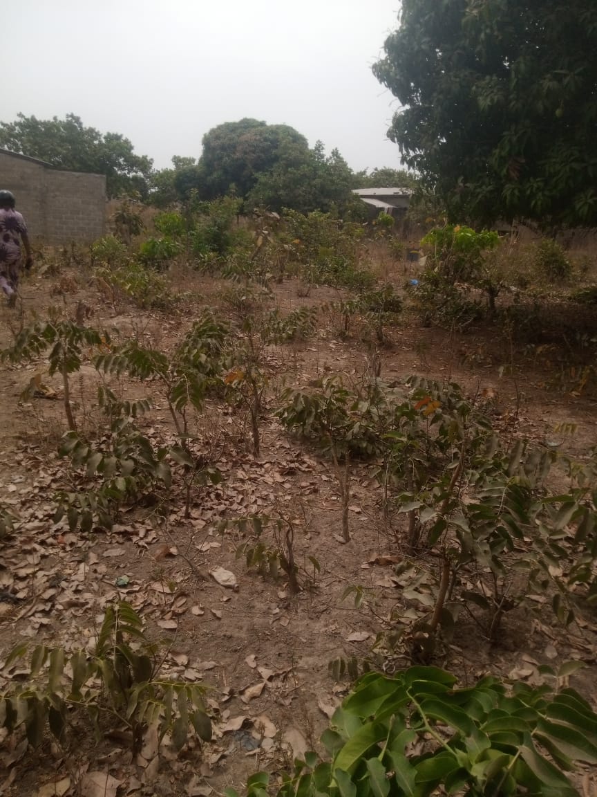 04 parcelles loties et recasées à GOUNIN-EXTENSION 