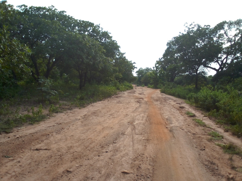 Domaine de 15ha avec ADC à Tchatchou 