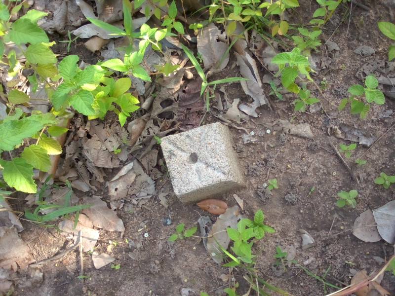 Domaine de 15ha avec ADC à Tchatchou 