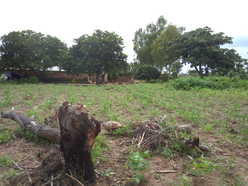 01 Parcelle de 600m² à Komiguea 