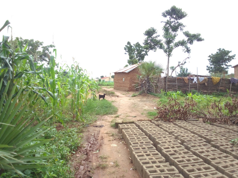 01 Parcelle de 600m² à Komiguea 