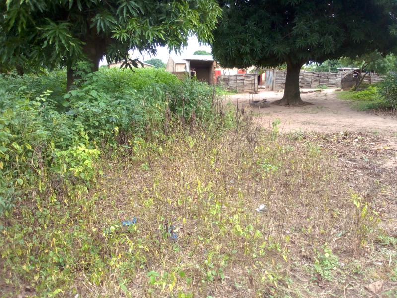 01 Parcelle de 600m² à Komiguea 