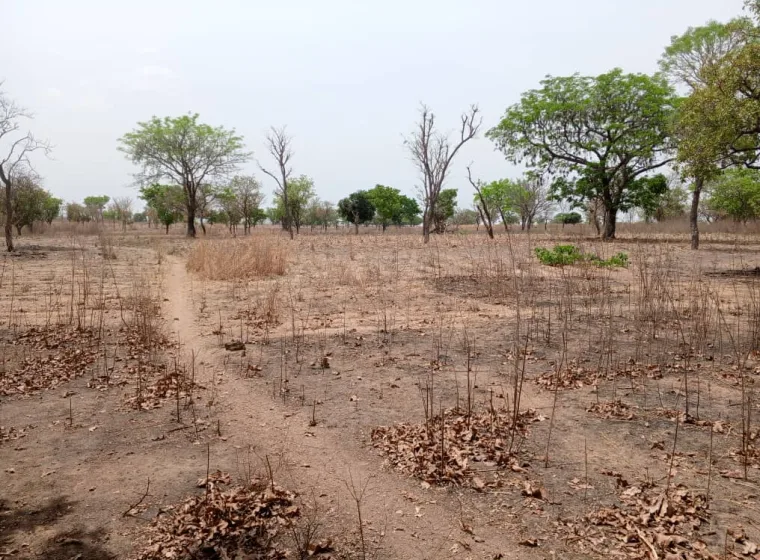 Terre agricole de 25ha à Kinnoukpanou