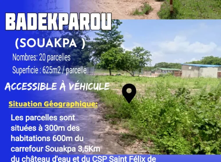 20 parcelles de 625m² chacune à BADEKPAROU 