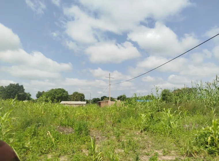 03 parcelle de 450m2  chacune à Sawararou-Bakperou /Parakou 