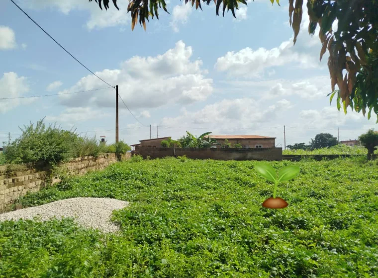 01 Parcelle de 500m2  à Dokparou/ Parakou 