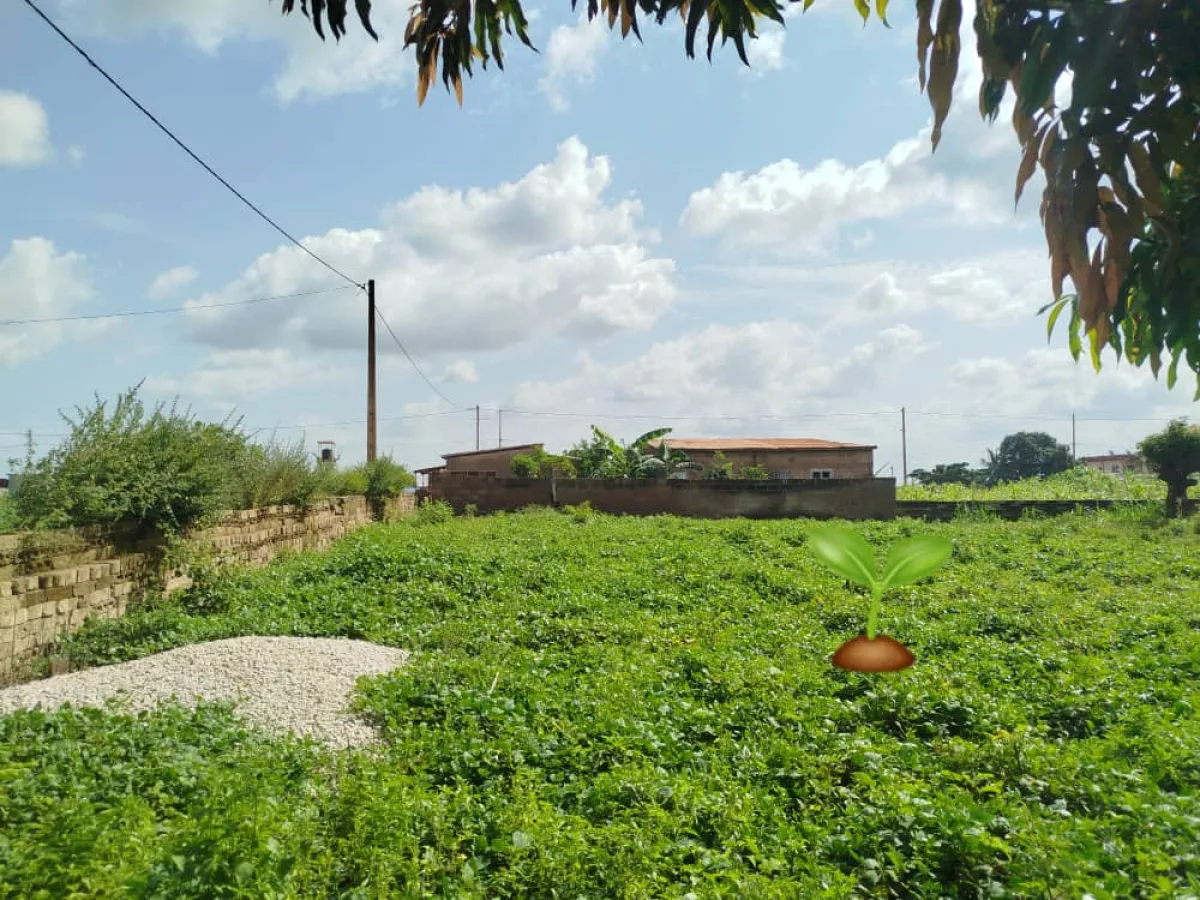 01 Parcelle de 500m2 à Dokparou/ Parakou