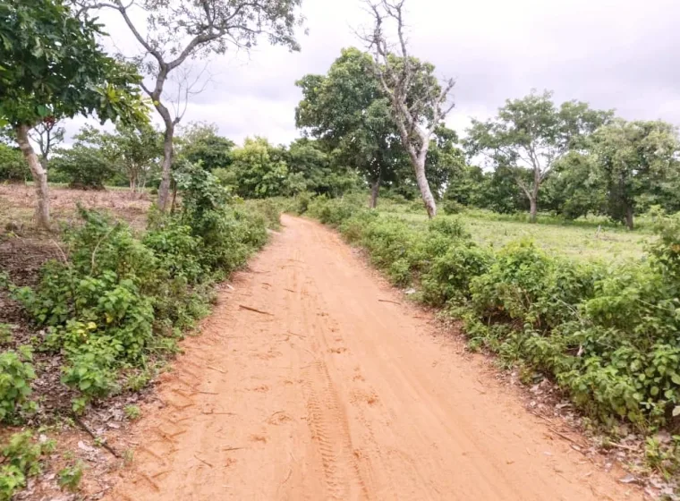 Domaine de 02 Hectares à Boko avec Attestation de Cadastre national 