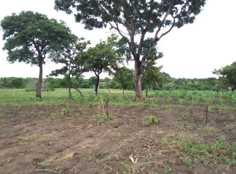 Terre agricole de 13Ha à Tekparou 