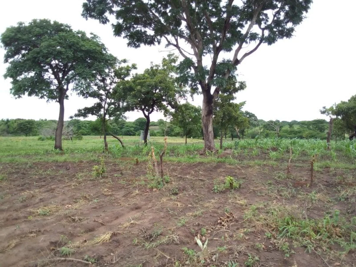 Terre agricole de 13Ha à Tekparou