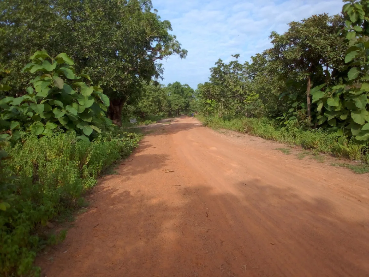 Domaine de 15ha avec ADC à Tchatchou