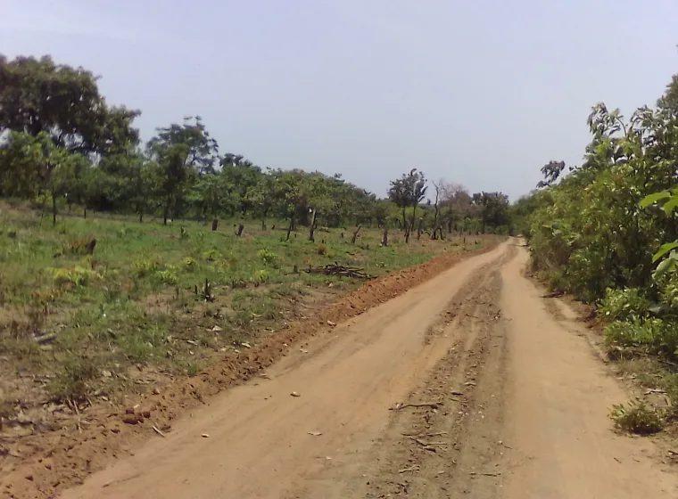 DOMAINE DE 3Ha à BADEKPAROU