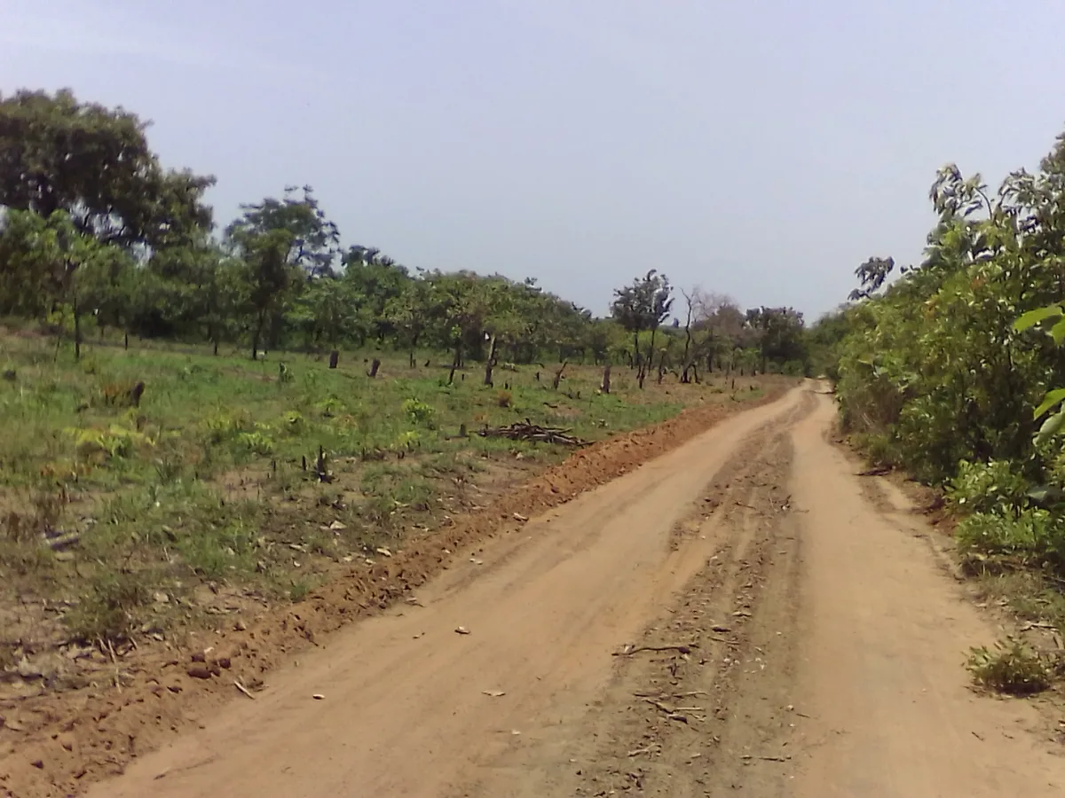 DOMAINE DE 3Ha à BADEKPAROU