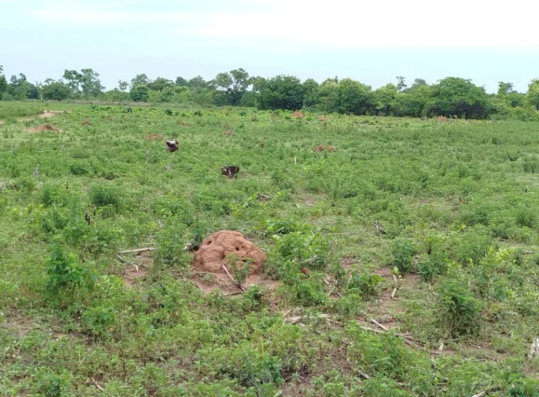 10 PARCELLES de 650m² chacune A BOKO 