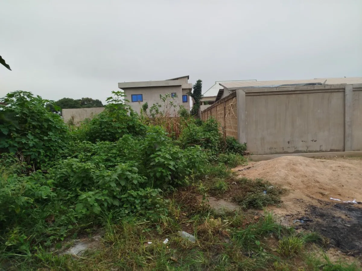01 parcelle de 500m² à Okedama Parakou