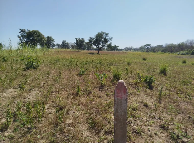 Terre agricole de 20ha à TOKO-BIO avec ADC