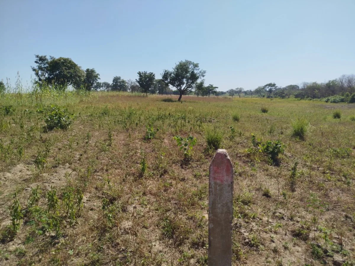 Terre agricole de 20ha à TOKO-BIO avec ADC