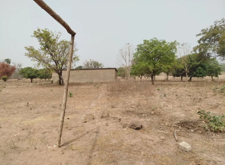 08 Parcelles jumelées de 600m² chacune à Komiguea 