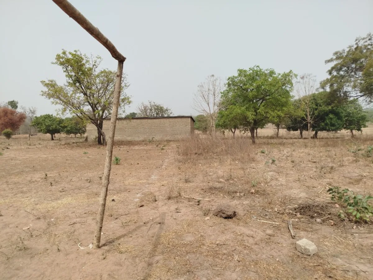 08 Parcelles jumelées de 600m² chacune à Komiguea