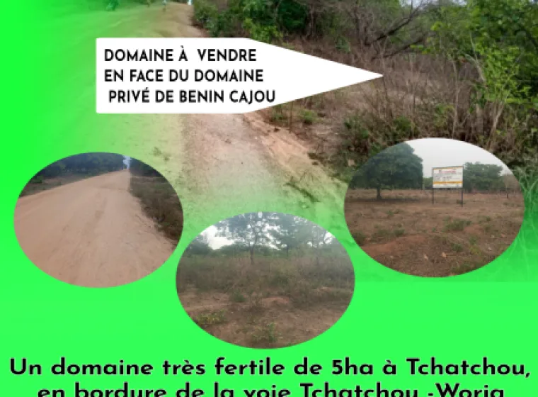 Domaine de 05ha à Tchatchou