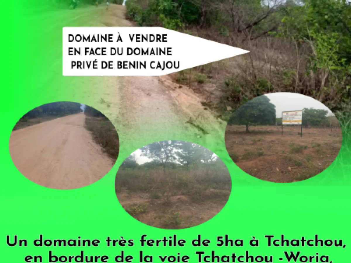 Domaine de 05ha à Tchatchou