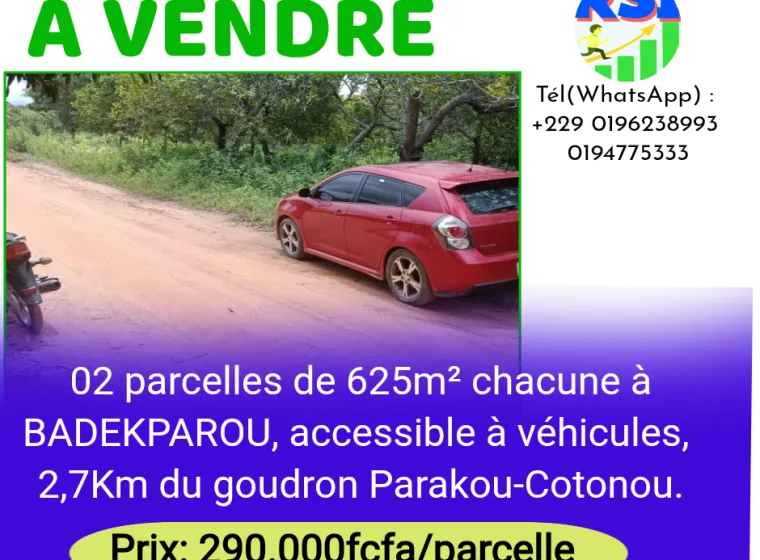 03 parcelles à WONDO (BADEKPAROU)