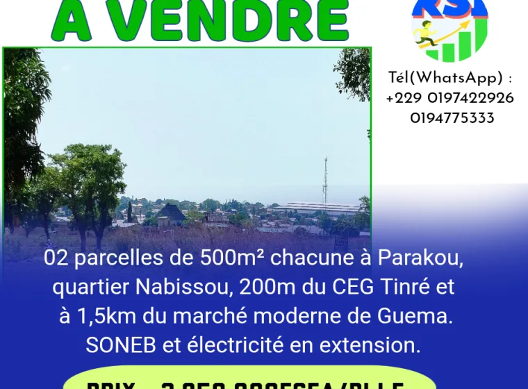 02 parcelles à Nabissou 