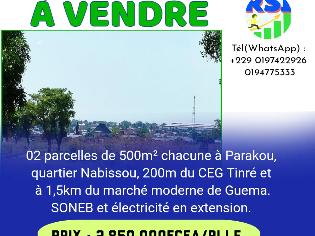 02 parcelles à Nabissou